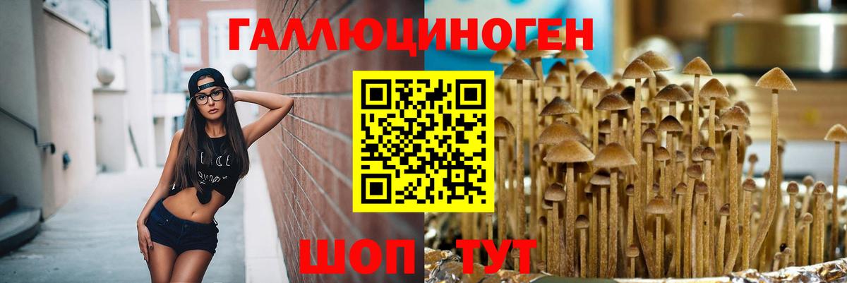 Псилоцибиновые грибы MAGIC MUSHROOMS  Вход с VPN  наркота  Галлюциногенные грибы ЛСД  Новодвинск 